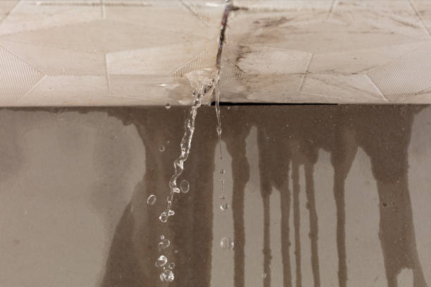 Professional Structural Drying technician working in Park Valley, UT